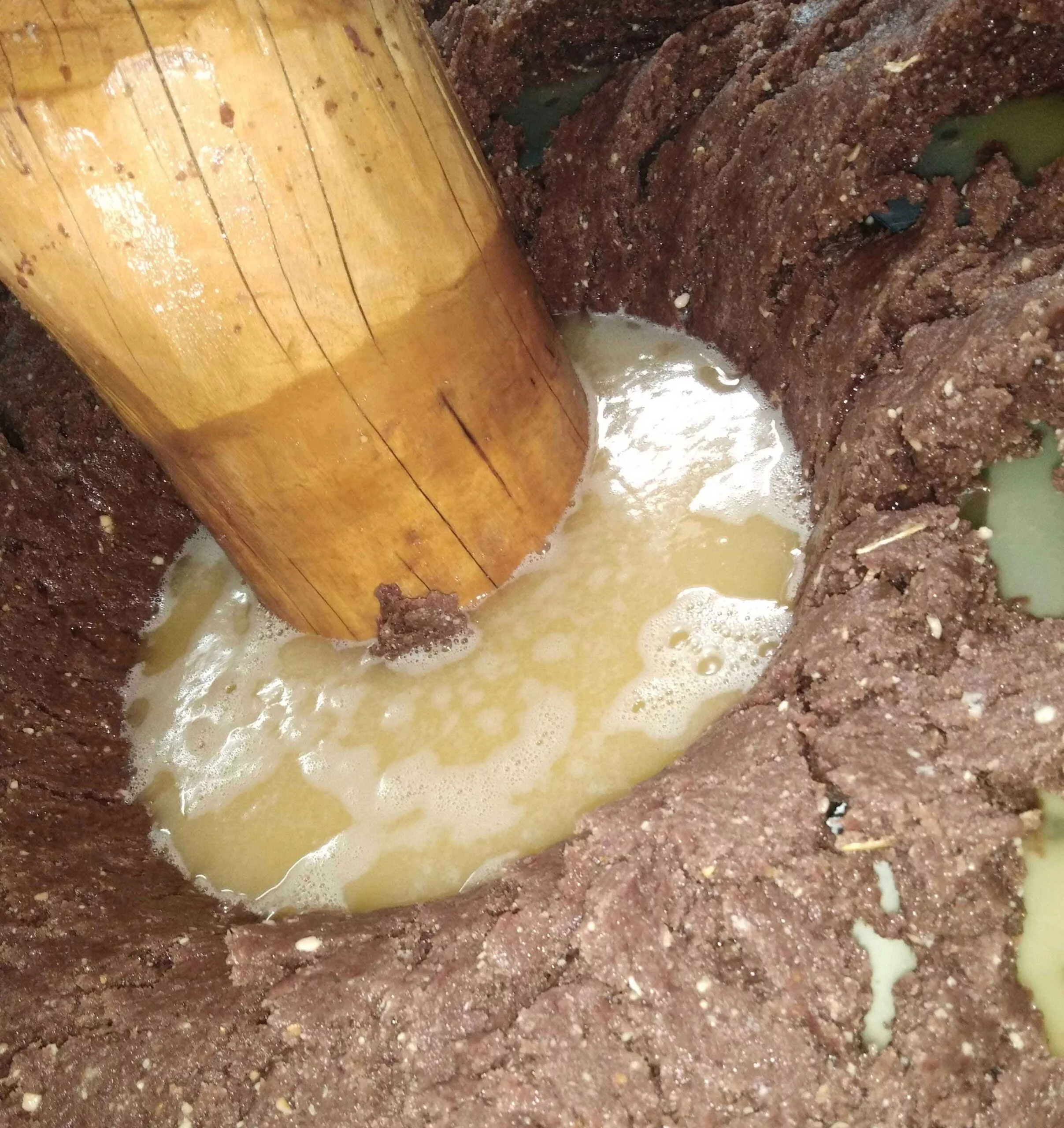 Cold Pressed Vs Refined Oil Benefits of Cold Pressed Oil